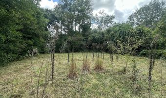 423 Parkwood Ter, Allendale, SC 29810