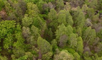 Tbd9999 Wentworth School Road, Beattyville, KY 41311