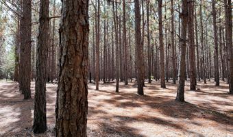 Highway 112, Abbeville, GA 31001