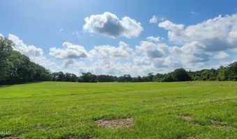 3350 SE Mount Pleasant Ln, Bogue Chitto, MS 39629
