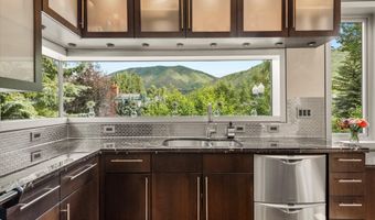 939 E Cooper Ave B, Aspen, CO 81611