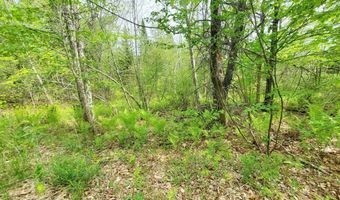 Pleasent Pond Road lot 6, Atkinson, ME 04426