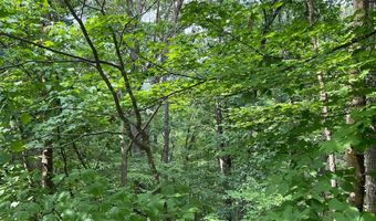 Lot 156 & 158 VICKI, Basye, VA 22810