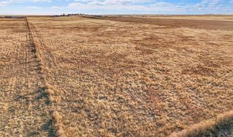 41219 County Road 84, Briggsdale, CO 80611