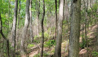 0 CR 77, Ashland, AL 36251