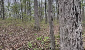 Tract 4 E Pine Road Common, Bloomfield, IN 47424