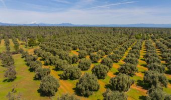 16770 Scout Ave, Anderson, CA 96007