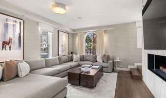 101 E Hallam St, Aspen, CO 81611