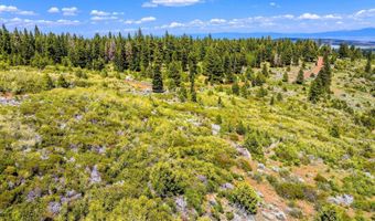 9653 Sportsman Dr, Alturas, CA 96101