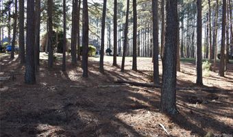 171 Yadkin Fls 15, Badin Lake, NC 28127