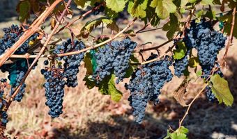 73809 Rattlesnake Rd, Arlington, OR 97812