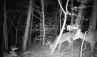 74521 Lively Ridge Rd, Albany, OH 45710