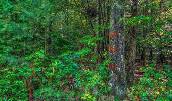 38 F Lang Rd, Bath, NH 03740