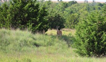 N 2550 Rd E 0920 Rd, Arapaho, OK 73620