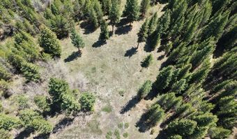 Horsethief Road, Cascade, ID 83611