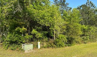135 Water Oaks Way, Apalachicola, FL 32320