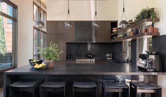 62 Bennett Ct, Aspen, CO 81611