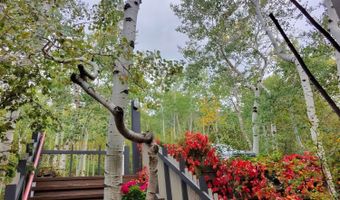 302 Roaring Fork Dr, Aspen, CO 81611