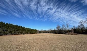 4887 Burtons Ferry Hwy, Allendale, SC 29810