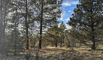 Canvasback, Bonanza, OR 97623