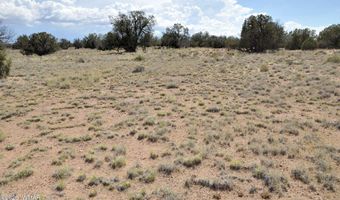 19 C & D County Rd N9033, Concho, AZ 85924