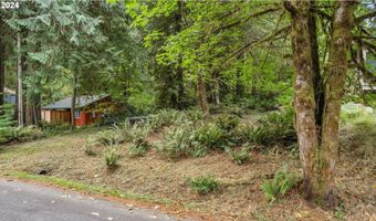 9842 BEACH Dr, Birkenfeld, OR 97016