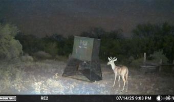 0000 County Road 173, San Diego, TX 78332