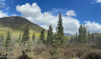 B005 S Packsaddle Road, Chickaloon, AK 99674