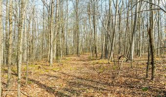E Captina Highway Road, Alledonia, OH 43902