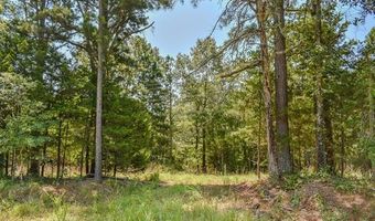 5 N Hall Rd, Antlers, OK 74523