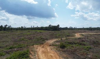 SE Cole Drive, Bogue Chitto, MS 39629