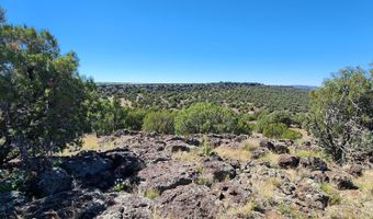 85 N 8522, Concho, AZ 85924