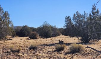 251 Se4 Juniperwood Rnch, Ash Fork, AZ 86320