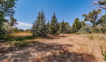 342 S 1000 W, Blackfoot, ID 83221