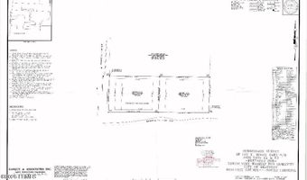 1109 Coleman Ln, Beaufort, SC 29902