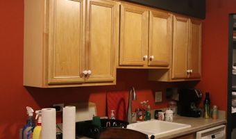 2431 E Brandenberry Ct 2O, Arlington Heights, IL 60004