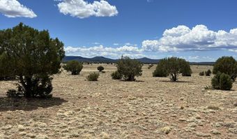 70 Off Of Volcano, Ash Fork, AZ 86320