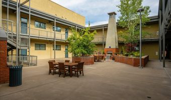 361 Robinson St 308, Basalt, CO 81621