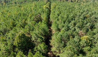 Holmes Road, Batesville, MS 38606