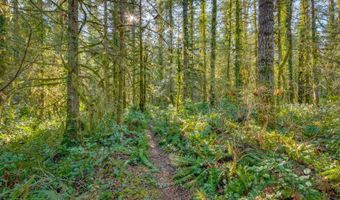 64281 E BRIGHTWOOD LOOP Rd, Brightwood, OR 97011