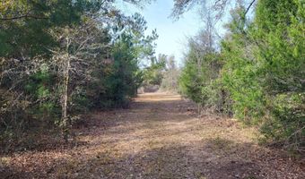 NW Tommy Tucker Road lot 1, Altha, FL 32421