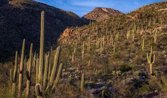 12959 E Cabeza De Vaca Lot A, Tucson, AZ 85749