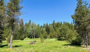 Tbd Sawtooth Loop, Cascade, ID 83611