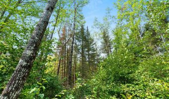 Double Bend Road, Argonne, WI 54511