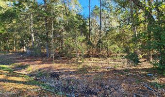 Sunflower Street lot 10, Bay St. Louis, MS 39520