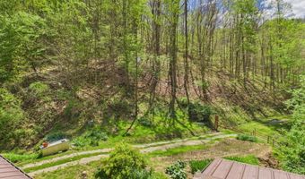1000 Coon Fork Rd, Arnoldsburg, WV 25234