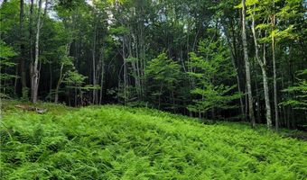 Lot # 19 Brush Hollow Road, Bovina, NY 13740