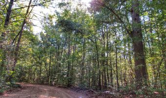 Anding Oil City Road, Bentonia, MS 39040