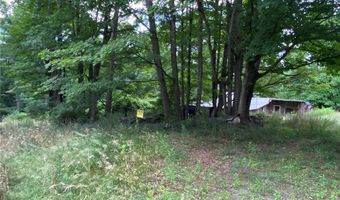 390 Hall Rd, Afton, NY 13730