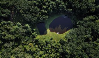 596 Joseph Chadderdon Rd, Acra, NY 12405